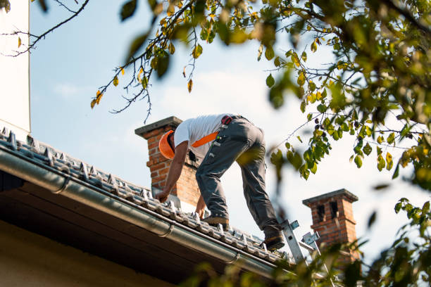 Quick and Trustworthy Emergency Roof Repair Services in Naperville, IL