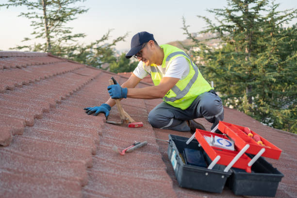 Best New Roof Installation  in Napervle, IL